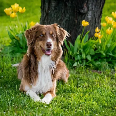 Prázdninový dům Im Skandinavischen Stil *