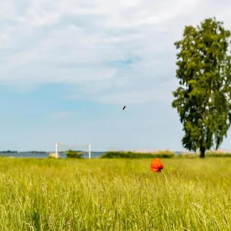 Im Skandinavischen Stil * Rechlin