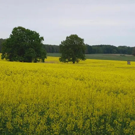 Im Skandinavischen Stil Rechlin